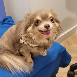 MILO