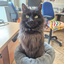 LUNA