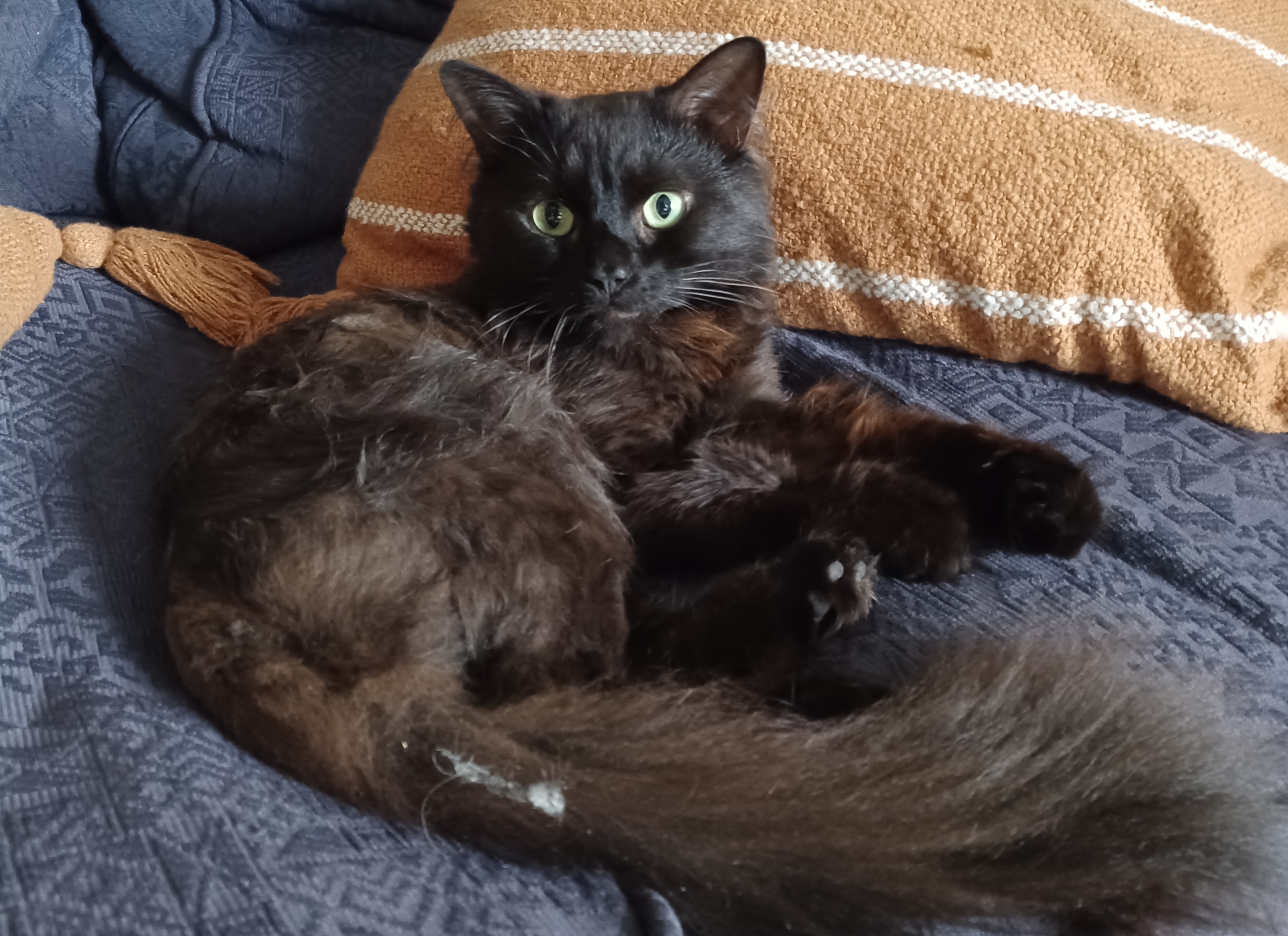 Tchalla