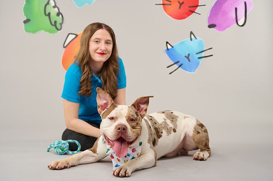 Battersea staff member sitting behind a bully dog who is smiling at the camera