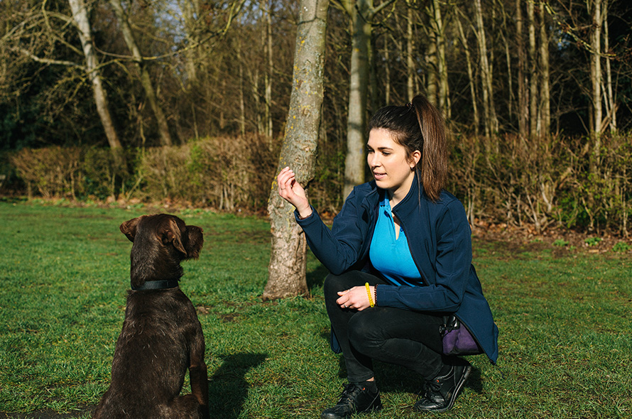 Battersea staff member kneels down in a park holding a treat in front of brown dog sitting