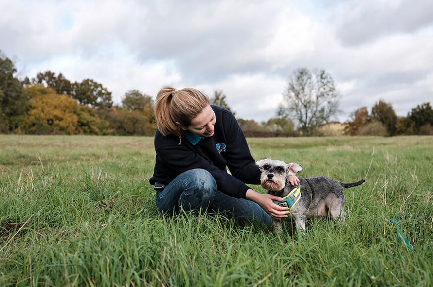 Battersea employee with a dog in a field