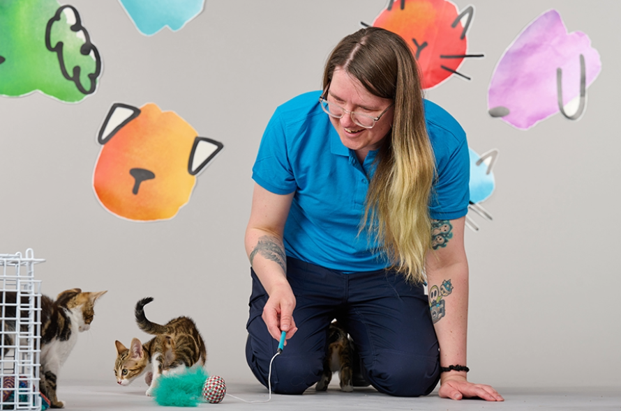 Battersea staff member kneeling down playing with kittens