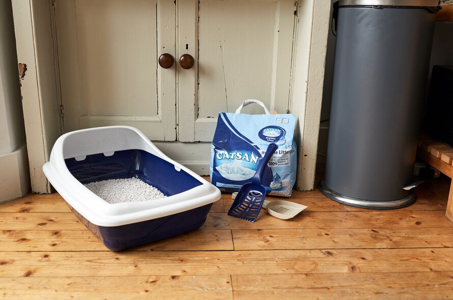 Cat litter tray, bag of cat litter and pooper scoopers on a kitchen floor