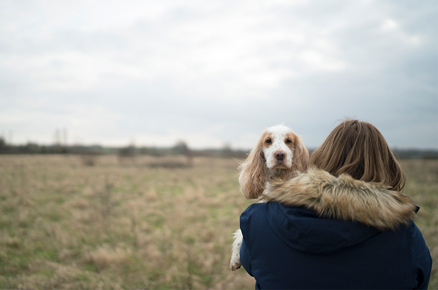 Dog with floppy ears looks at camera while being held over the shoulder in an open field