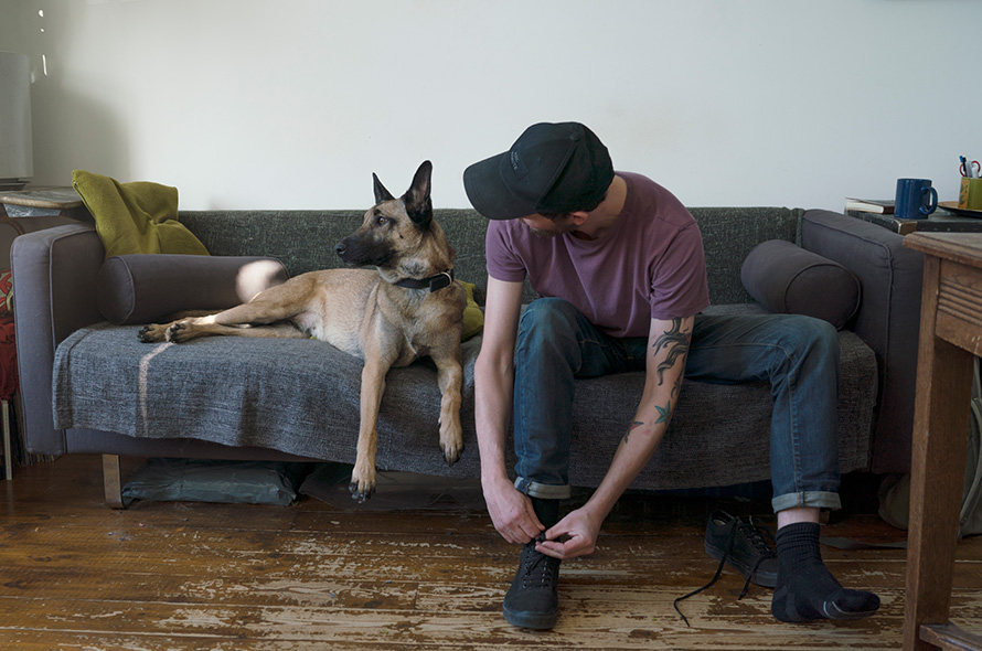 German Shepherd dog waiting on the sofa whilst their owner put their shoes on