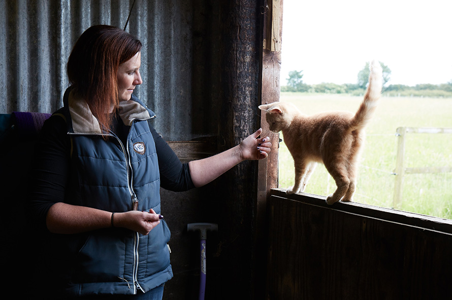 Ginger cat balancing on stable door sniffs lady's outstretched hand