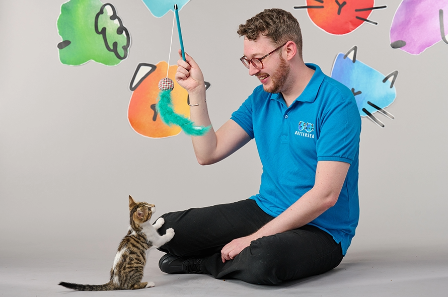 Battersea staff member sitting down playing with a kitten