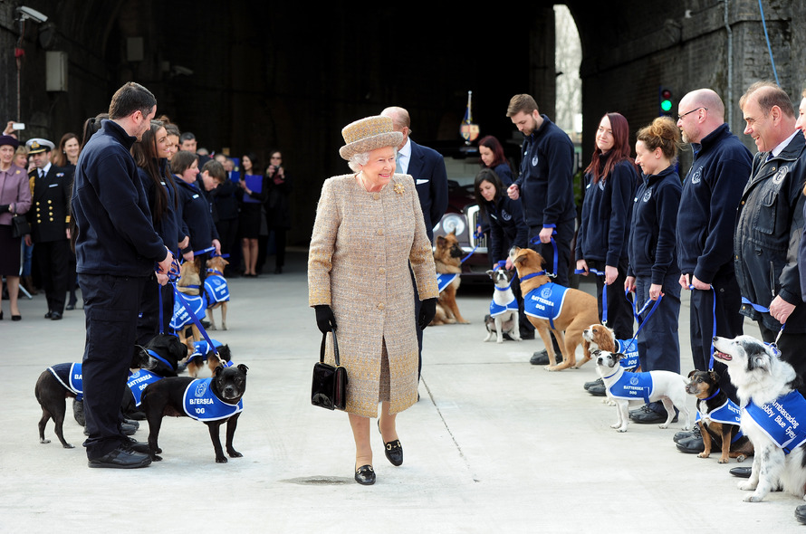 Queen Elizabeth II walking down a line of Battersea dogs and staff