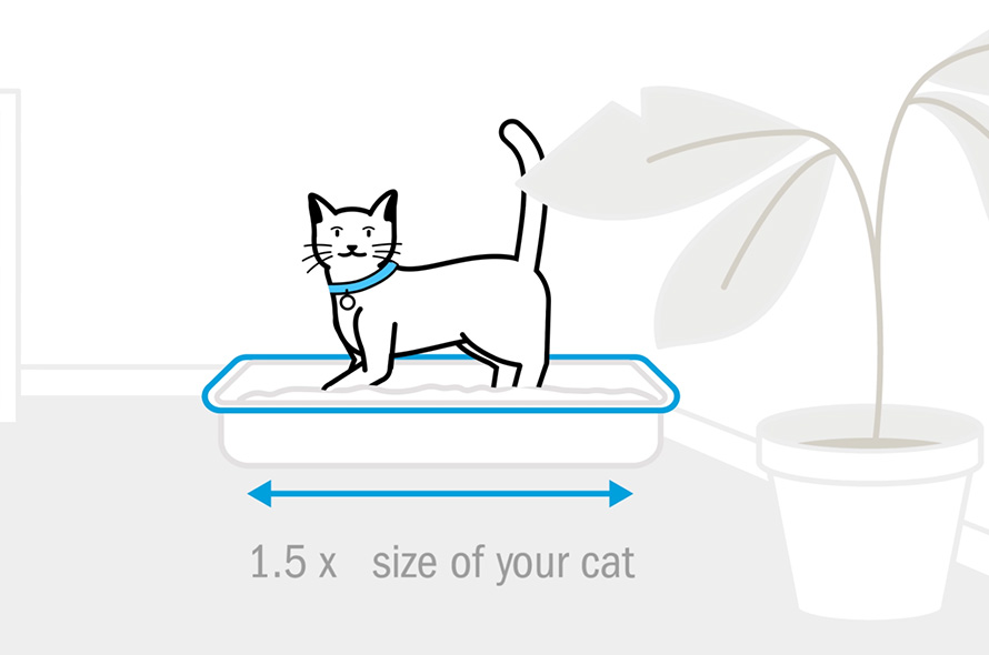 Diagram describing how big a little tray should be for the size of your cat