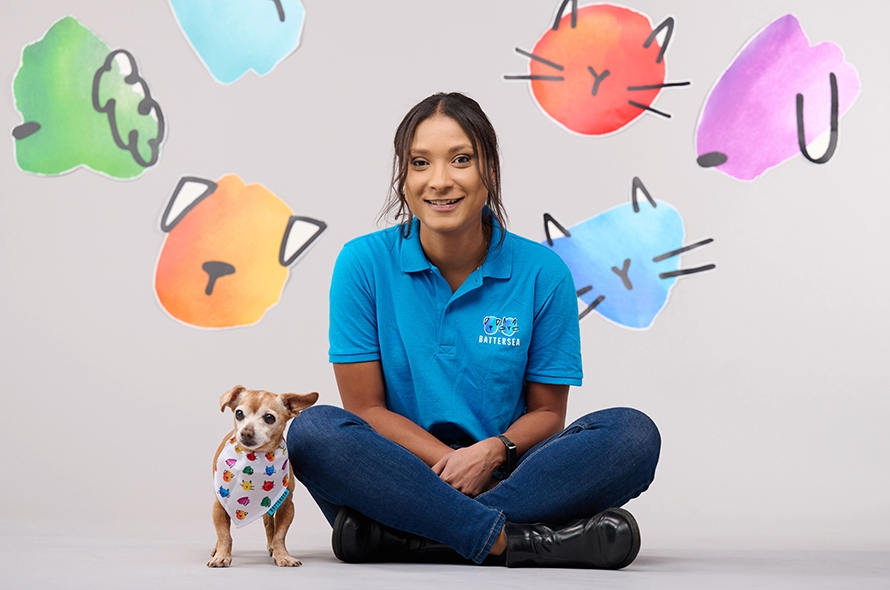 Battersea staff member sitting crossed legged next to a Chihuahua wearing a rainbow bandana