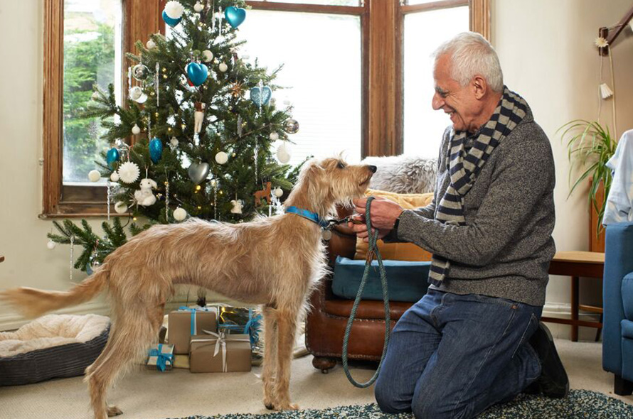 Man and his dog in front of the Christmas tree