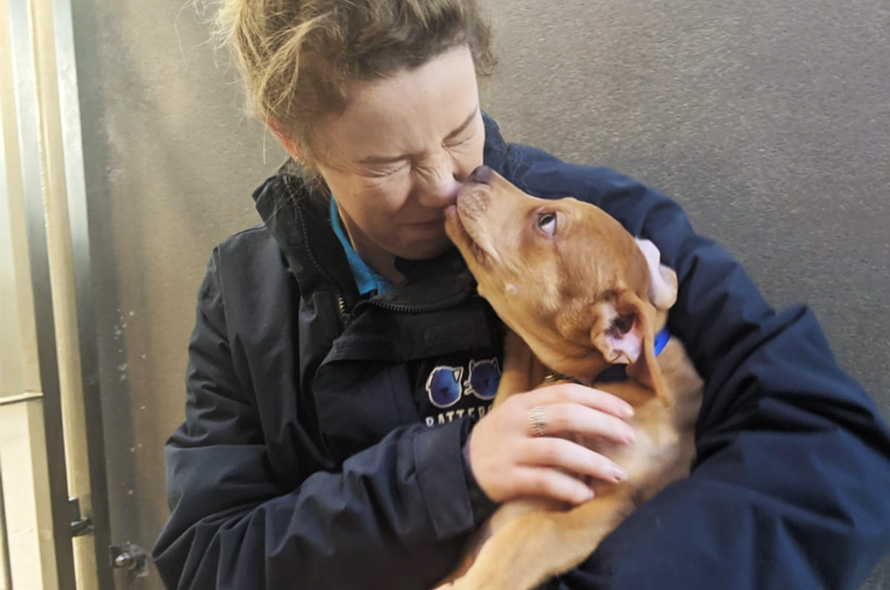 Nala the puppy licks a staff member's face