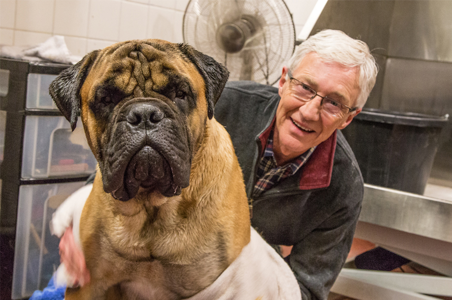 Paul O'Grady smiles with a large brown bulldog