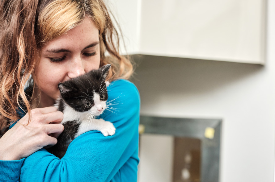 Person cuddling a black and white kitten