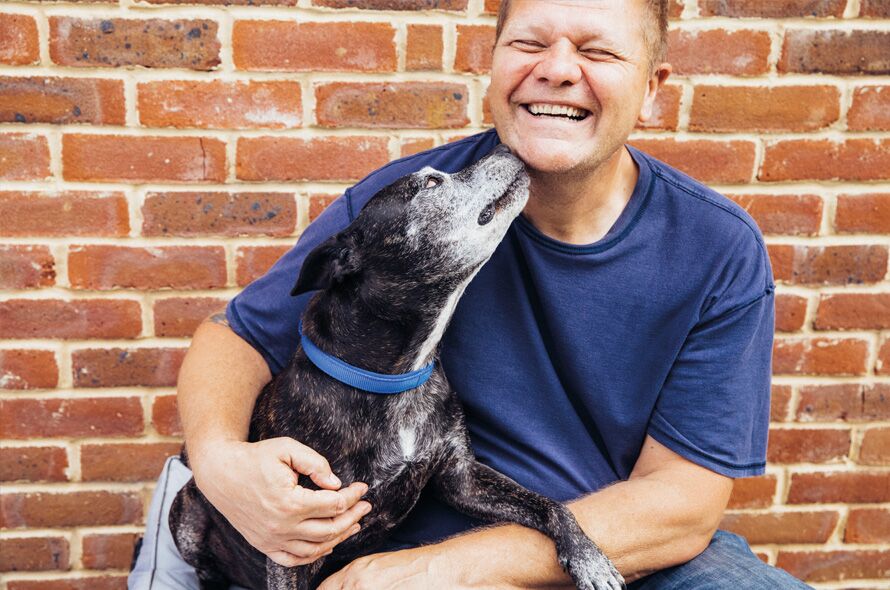 Staffie licking a mans face