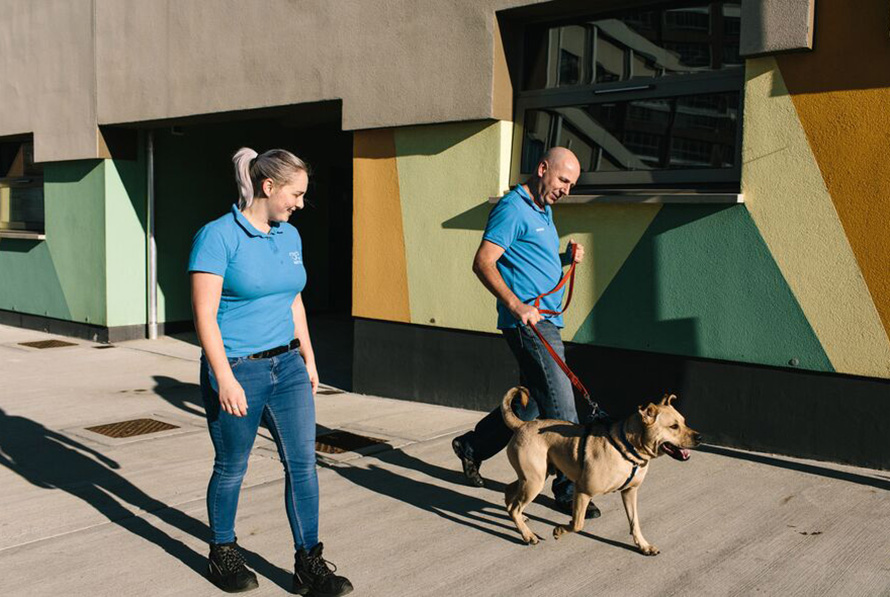 Two Battersea staff walking a medium sized dog outside 