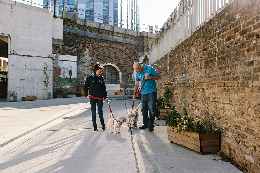 Two Battersea staff walking a beagle and a small fluffy dog outside