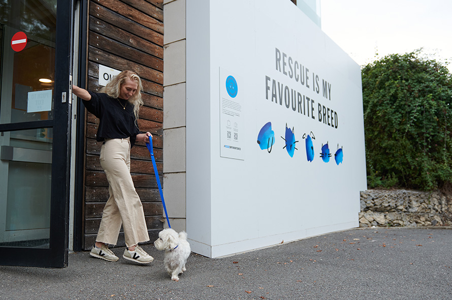 White fluffy dog and their owner coming out of Battersea Old Windsor