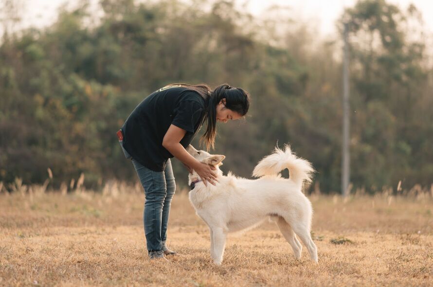 Women bent over stroking a white fluffy dog 