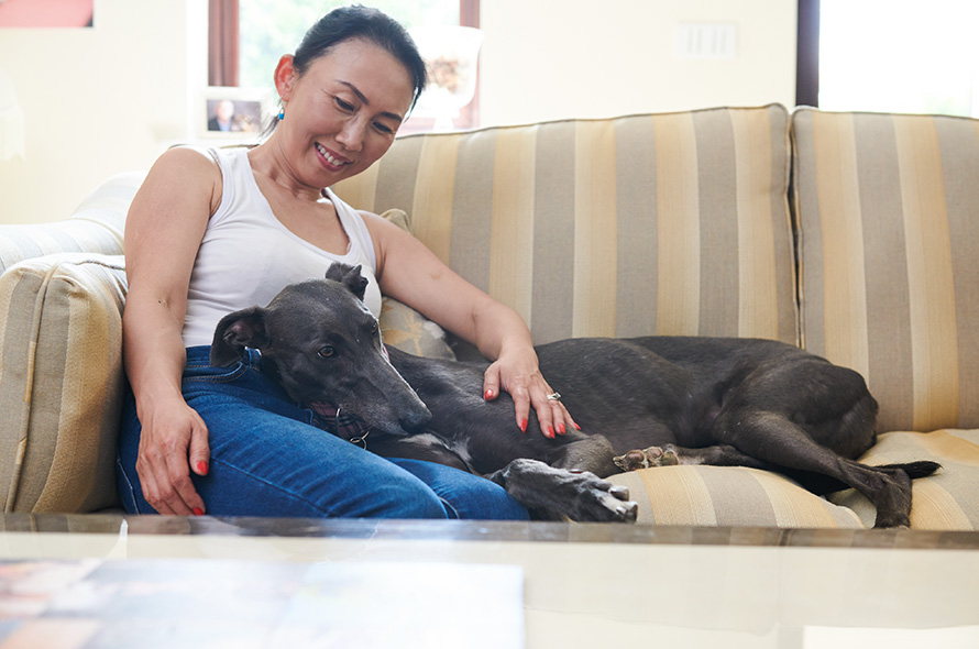 Women sat on the sofa with a greyhound resting on her lap