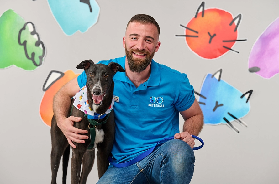 Battersea staff member with his arm around a black and white lurcher