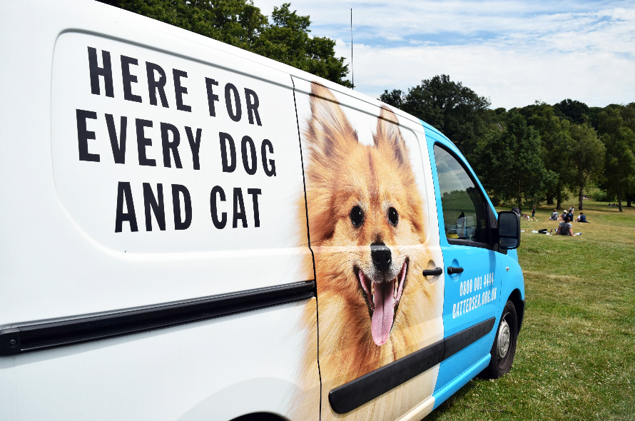 battersea van with dog on the side parked in a park