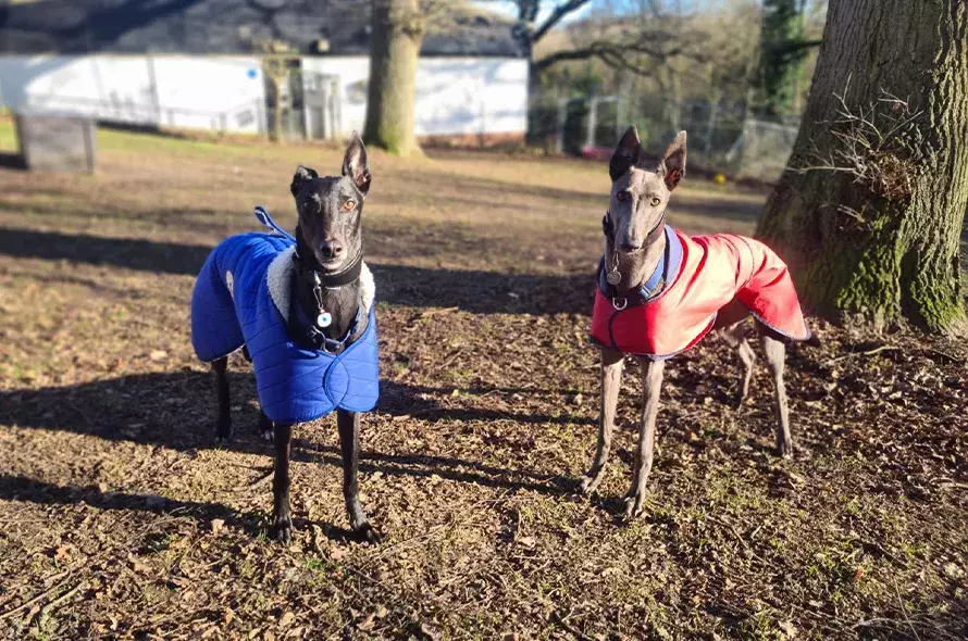 Arnie and Cassie outside in their coats