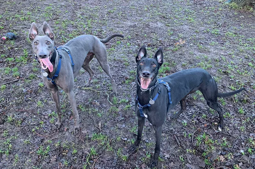 Arnie and Cassie smiling outside in the woods