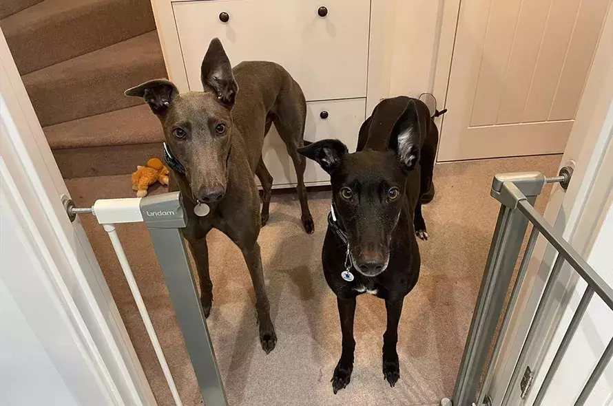 Arnie and Cassie standing in a hallway