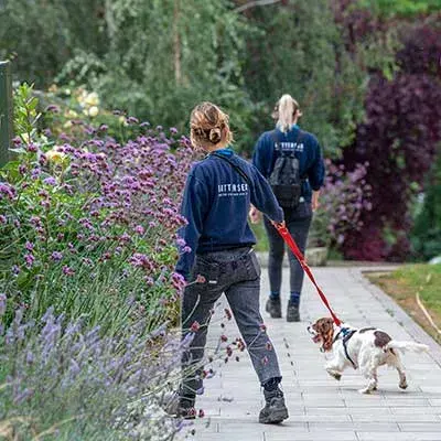 Battersea staff walking Spaniel Dottie in Old Windsor paddock with a sensory garden