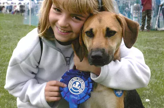 Pet Memorials