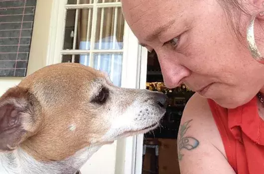 Pet Memorials